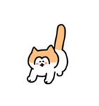 子猫のリッキースタンプ（個別スタンプ：11）