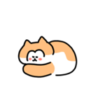 子猫のリッキースタンプ（個別スタンプ：14）