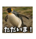弾けるコウテイペンギン（個別スタンプ：4）