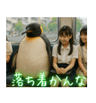 弾けるコウテイペンギン（個別スタンプ：22）