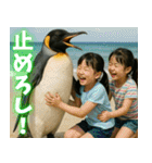弾けるコウテイペンギン（個別スタンプ：26）