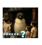 弾けるコウテイペンギン（個別スタンプ：34）