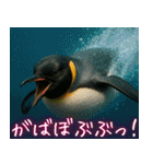 弾けるコウテイペンギン（個別スタンプ：35）