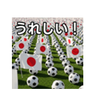 日本国旗とサッカーボール（個別スタンプ：24）