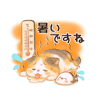 Vol.4☆【敬語/真夏】ふわふわ三毛猫（個別スタンプ：21）