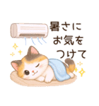 Vol.4☆【敬語/真夏】ふわふわ三毛猫（個別スタンプ：24）