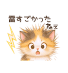 Vol.4☆【敬語/真夏】ふわふわ三毛猫（個別スタンプ：39）