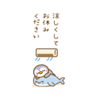 やさしい夏のおたより BIG（個別スタンプ：12）