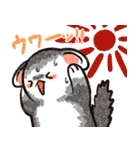 フェレットと一緒の夏（個別スタンプ：31）