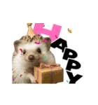 動く！ハリネズミ（個別スタンプ：5）