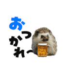 動く！ハリネズミ（個別スタンプ：7）