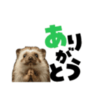 動く！ハリネズミ（個別スタンプ：17）