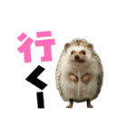動く！ハリネズミ（個別スタンプ：21）