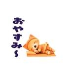 動く！にゃんこスタンプ（個別スタンプ：10）