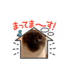 お酒とネコ好きな日常会話34（個別スタンプ：10）