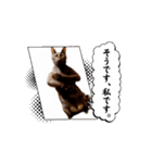 お酒とネコ好きな日常会話34（個別スタンプ：15）