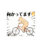 猫とくま 動くアニメ 日常（個別スタンプ：9）