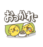 ひよこがいっぱい 毎日デカ文字スタンプ（個別スタンプ：20）