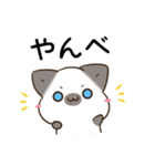 横浜弁のシャム猫とシマエナガ（個別スタンプ：3）