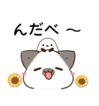 横浜弁のシャム猫とシマエナガ（個別スタンプ：9）