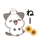 横浜弁のシャム猫とシマエナガ（個別スタンプ：10）