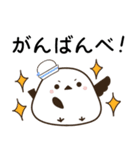横浜弁のシャム猫とシマエナガ（個別スタンプ：11）