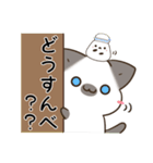 横浜弁のシャム猫とシマエナガ（個別スタンプ：13）