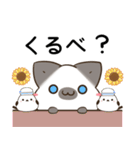 横浜弁のシャム猫とシマエナガ（個別スタンプ：14）