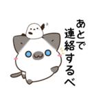 横浜弁のシャム猫とシマエナガ（個別スタンプ：21）