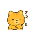 ちゃとら猫のきもちパレード（個別スタンプ：11）