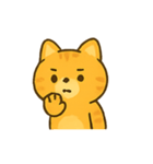 ちゃとら猫のきもちパレード（個別スタンプ：17）