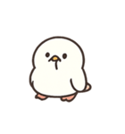 もちぴよのぺたぺた日常（個別スタンプ：10）