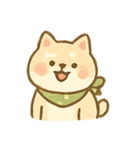 バンダナ柴犬の毎日感情パック（個別スタンプ：1）