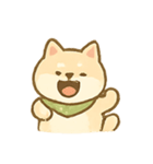 バンダナ柴犬の毎日感情パック（個別スタンプ：10）