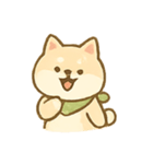 バンダナ柴犬の毎日感情パック（個別スタンプ：11）
