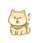 バンダナ柴犬の毎日感情パック（個別スタンプ：22）