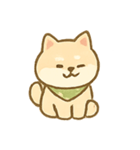 バンダナ柴犬の毎日感情パック（個別スタンプ：24）