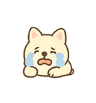 まろやか柴犬の毎日リアクション（個別スタンプ：7）