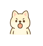 まろやか柴犬の毎日リアクション（個別スタンプ：8）