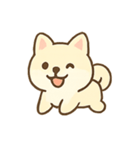 まろやか柴犬の毎日リアクション（個別スタンプ：13）