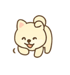 まろやか柴犬の毎日リアクション（個別スタンプ：15）
