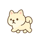 まろやか柴犬の毎日リアクション（個別スタンプ：16）