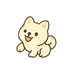 まろやか柴犬の毎日リアクション（個別スタンプ：17）
