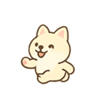 まろやか柴犬の毎日リアクション（個別スタンプ：19）