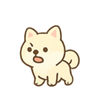 まろやか柴犬の毎日リアクション（個別スタンプ：20）