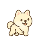 まろやか柴犬の毎日リアクション（個別スタンプ：24）