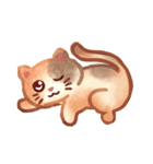 三毛猫フワフワの日常（個別スタンプ：1）