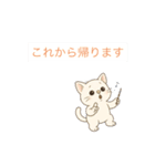 またまた！猫さんスタンプ（個別スタンプ：1）