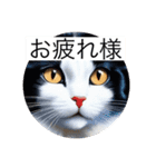 またまた！猫さんスタンプ（個別スタンプ：5）