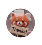 レッサーパンダカプセルトイ(丸型)（個別スタンプ：6）